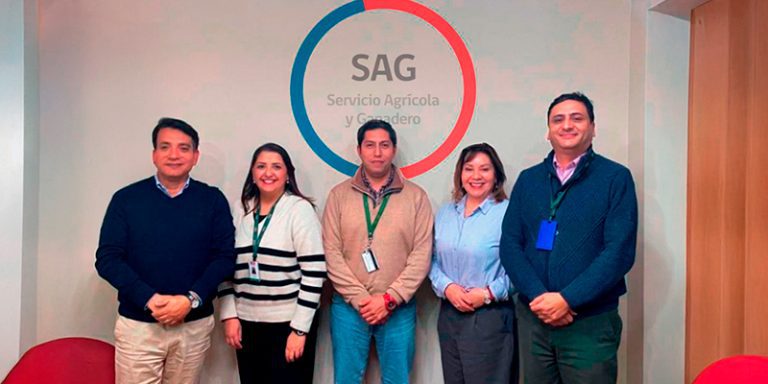 sag-web